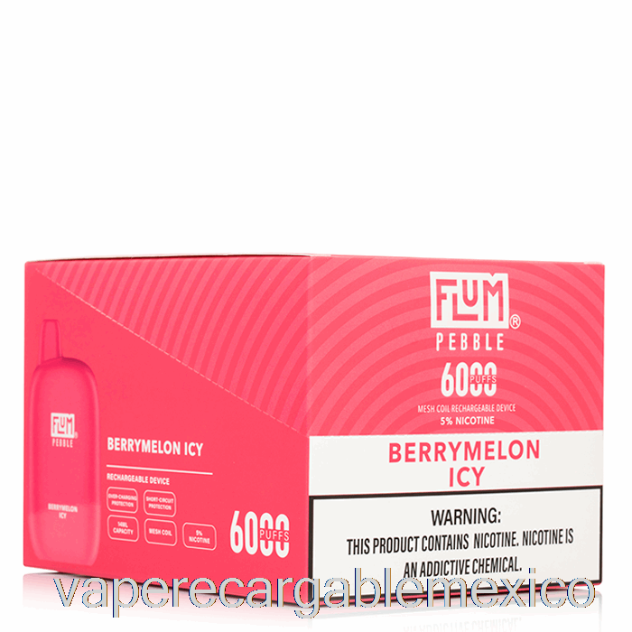 Vape Recargable [paquete De 10] Flum Pebble 6000 Desechable